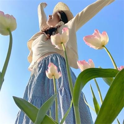 腌黄瓜先生第二季